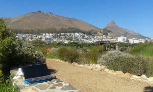 Remote working in Cape Town